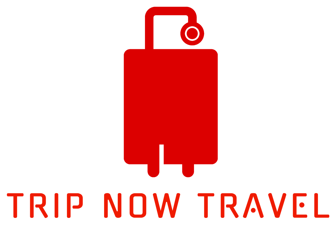 Trip Now Travel